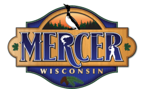 final Mercer Logo (2)